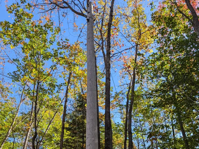 $298,000 | 0 Gibbs Mill Road, Livermore, ME 04253