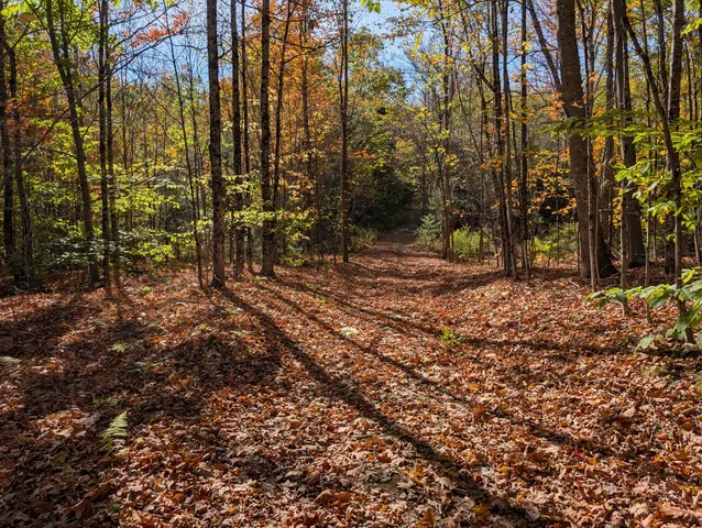 $298,000 | 0 Gibbs Mill Road, Livermore, ME 04253