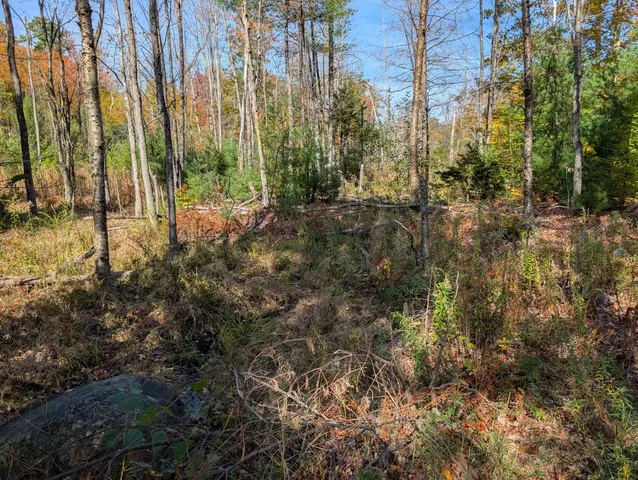 $298,000 | 0 Gibbs Mill Road, Livermore, ME 04253