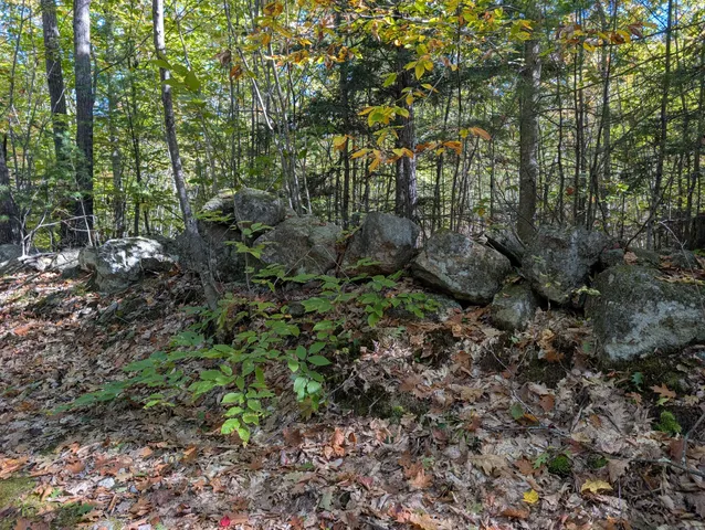 $298,000 | 0 Gibbs Mill Road, Livermore, ME 04253