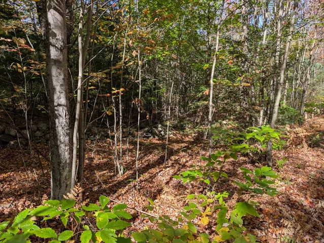 $298,000 | 0 Gibbs Mill Road, Livermore, ME 04253