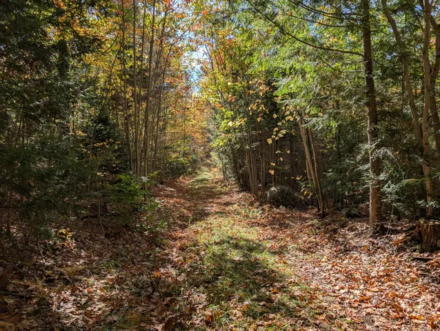 $298,000 | 0 Gibbs Mill Road, Livermore, ME 04253