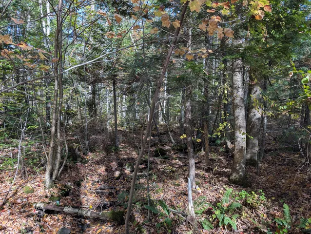 $298,000 | 0 Gibbs Mill Road, Livermore, ME 04253