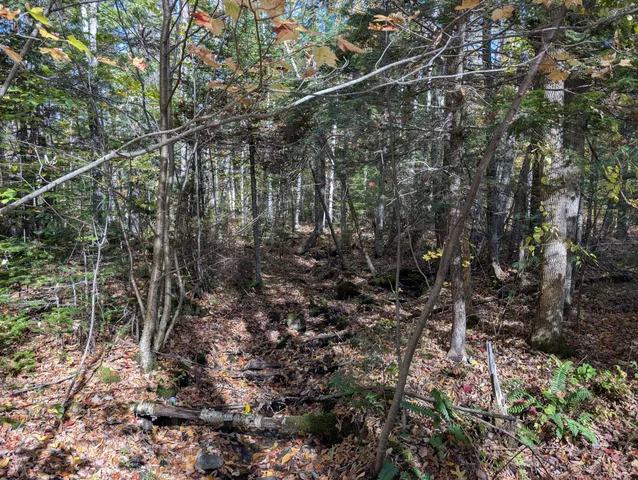 $298,000 | 0 Gibbs Mill Road, Livermore, ME 04253