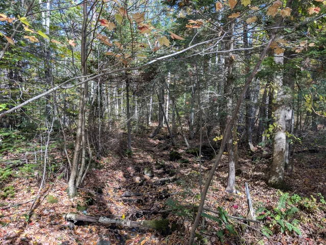 $298,000 | 0 Gibbs Mill Road, Livermore, ME 04253