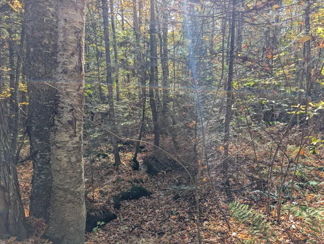 $298,000 | 0 Gibbs Mill Road, Livermore, ME 04253