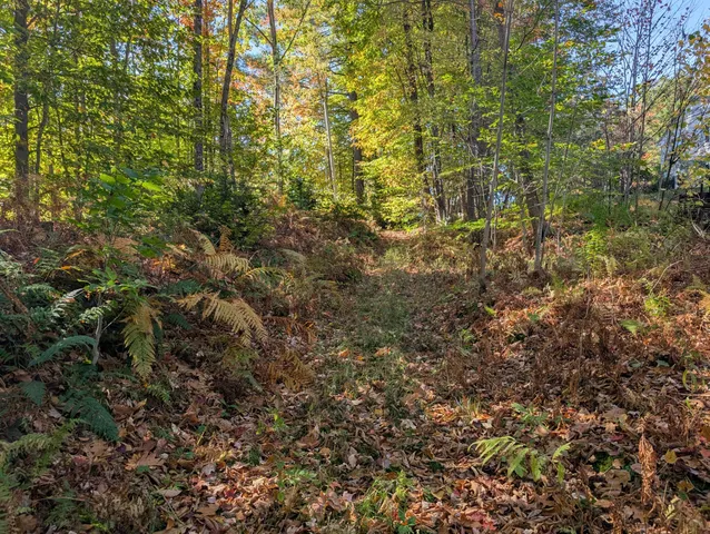 $298,000 | 0 Gibbs Mill Road, Livermore, ME 04253