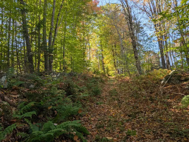 $298,000 | 0 Gibbs Mill Road, Livermore, ME 04253