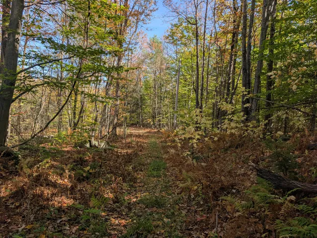 $298,000 | 0 Gibbs Mill Road, Livermore, ME 04253