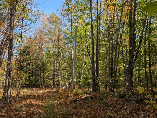 $298,000 | 0 Gibbs Mill Road, Livermore, ME 04253