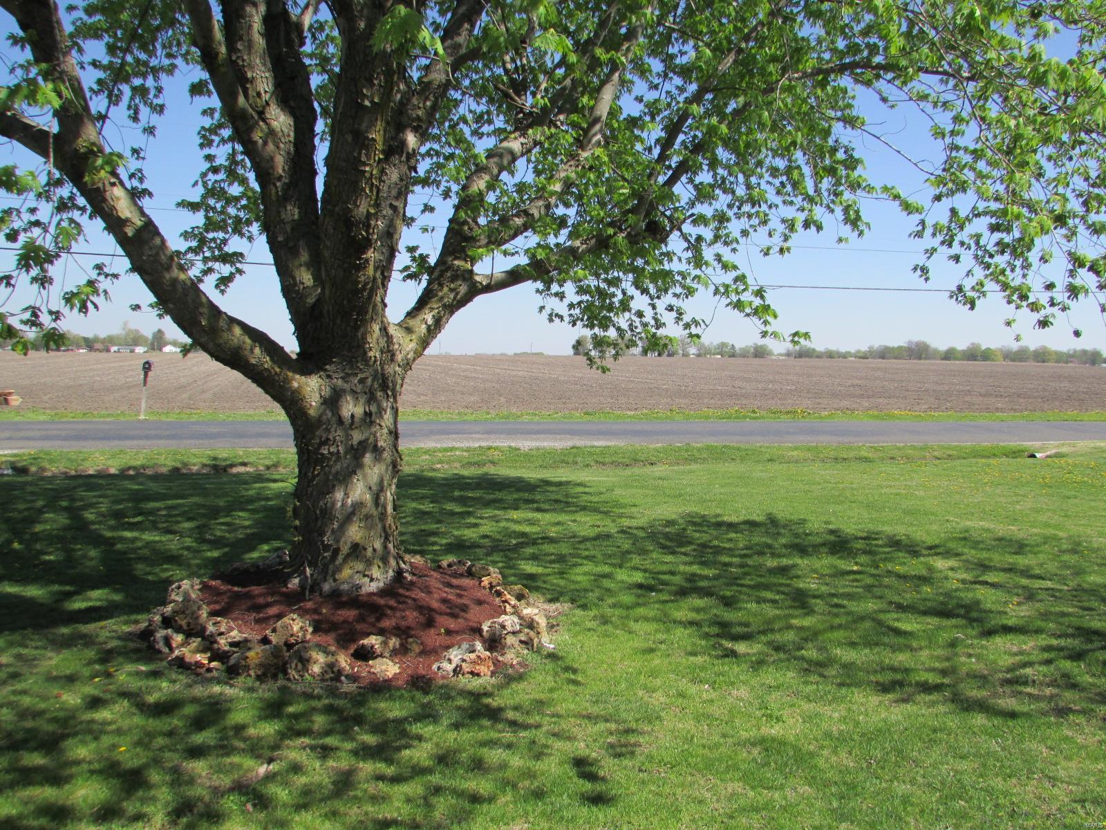 1918 West County Road Jerseyville, IL 62052 - Photo 26 of 33 Gallery Image 26
