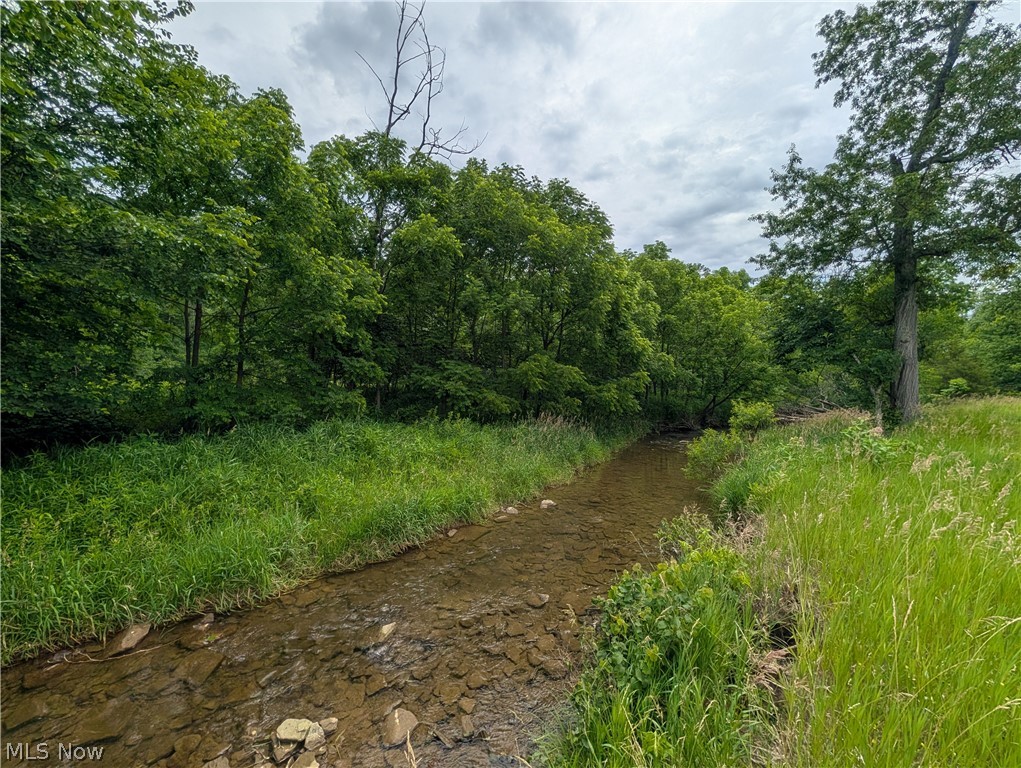 36 County Road Bloomingdale, OH 43910 - Photo 18 of 44 Gallery Image 18