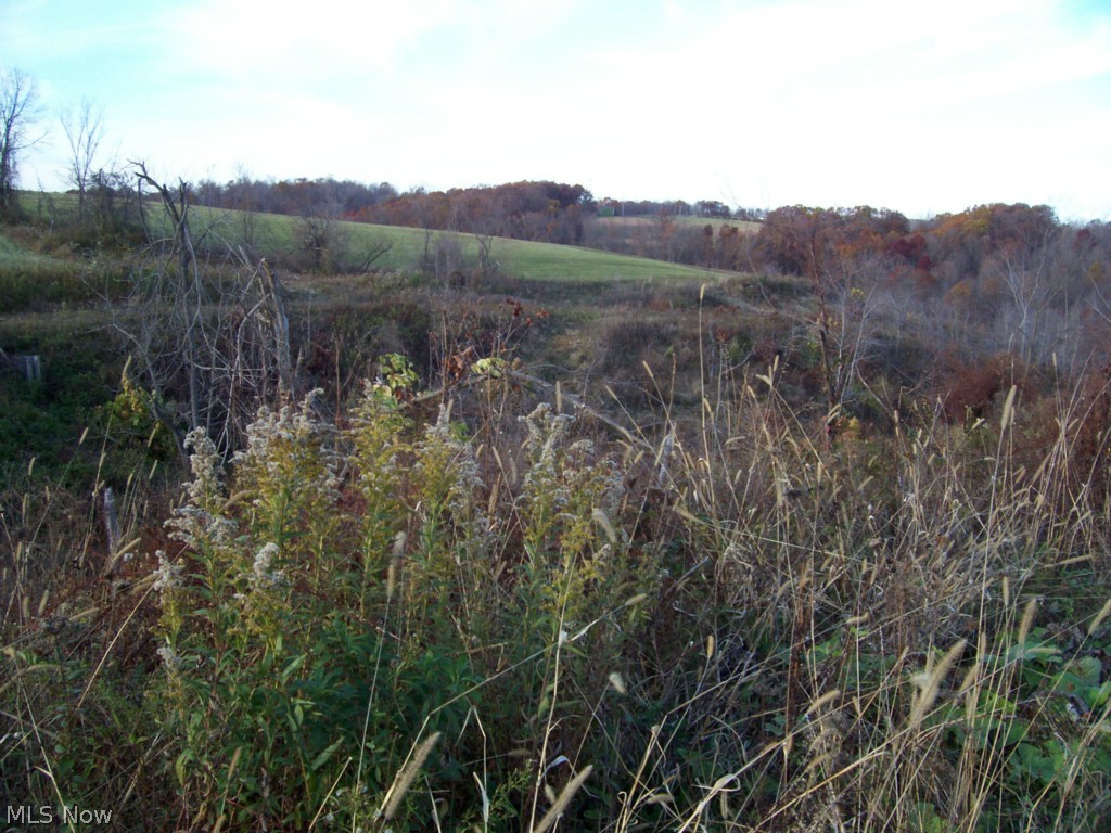 Old Town Road Mount Perry, OH 43760 - Photo 24 of 25