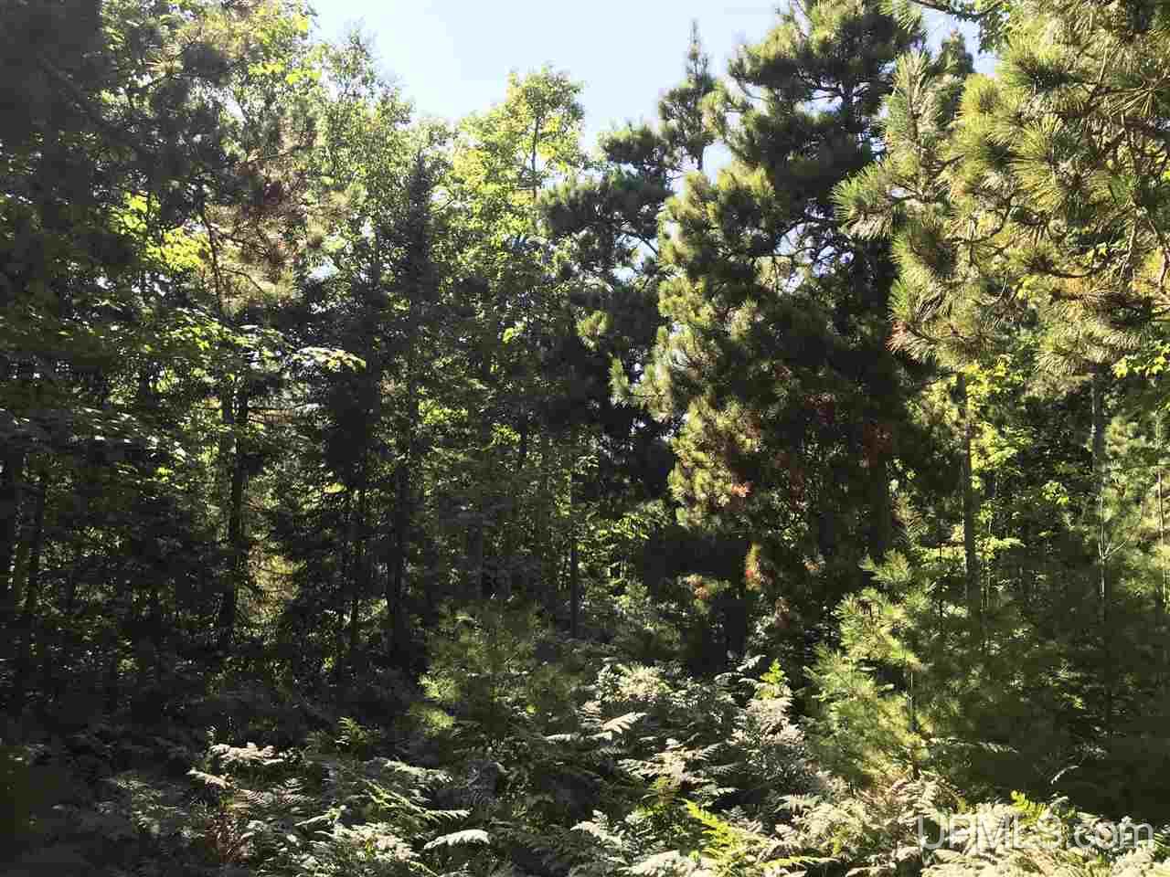 Tbd Five Mile Point Road, Unit 38 10 ACRES Allouez, MI 49805 - Photo 2 of 13