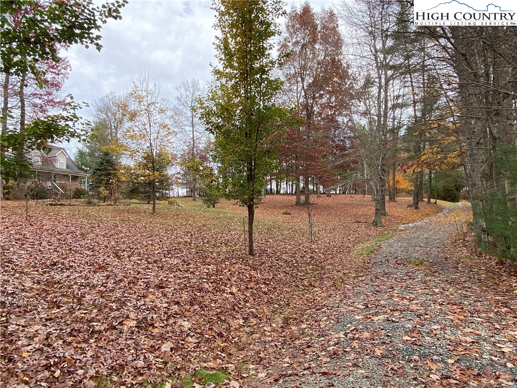 1241 Glade Creek School Road Ennice, NC 28623 - Photo 41 of 49