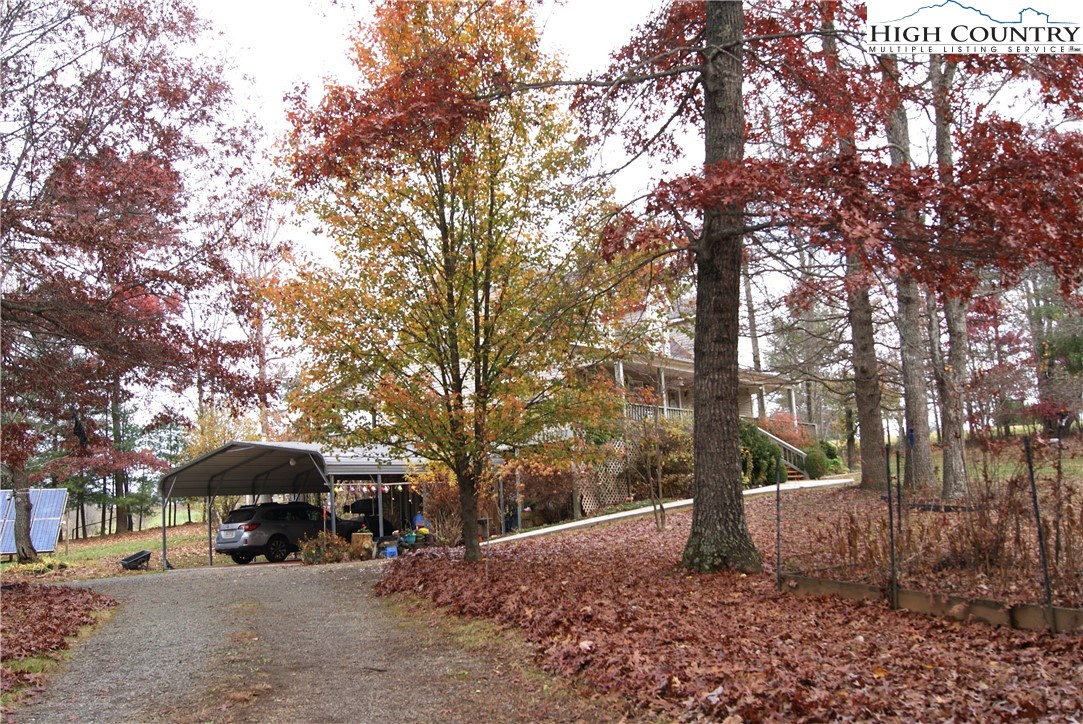 1241 Glade Creek School Road Ennice, NC 28623 - Photo 46 of 49 a view of a outdoor space with a tree