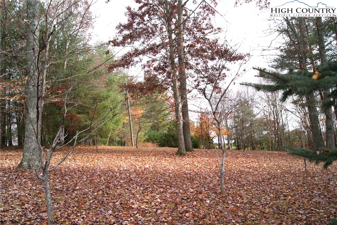 1241 Glade Creek School Road Ennice, NC 28623 - Photo 48 of 49 a backyard of a house with lots of green space