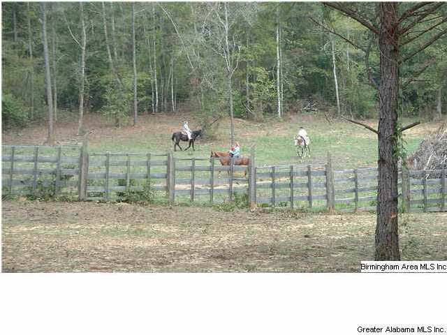 696 Kiniard Road Brent, AL 35034 - Photo 5 of 32