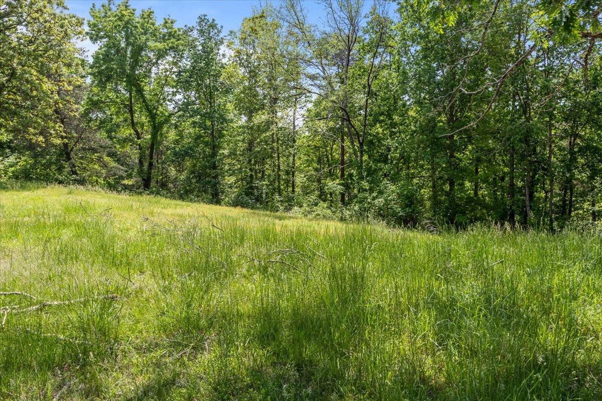 211 Minnow Road Waverly, TN 37185 - Photo 6 of 24