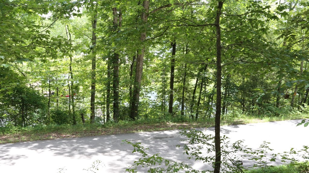 191 Waterview Dr. Spring City, TN 37381 - Photo 8 of 14 Gallery Image 8