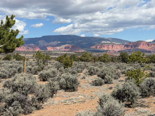 2196 East Teasdale Road Teasdale, UT 84773 - Photo 22 of 57