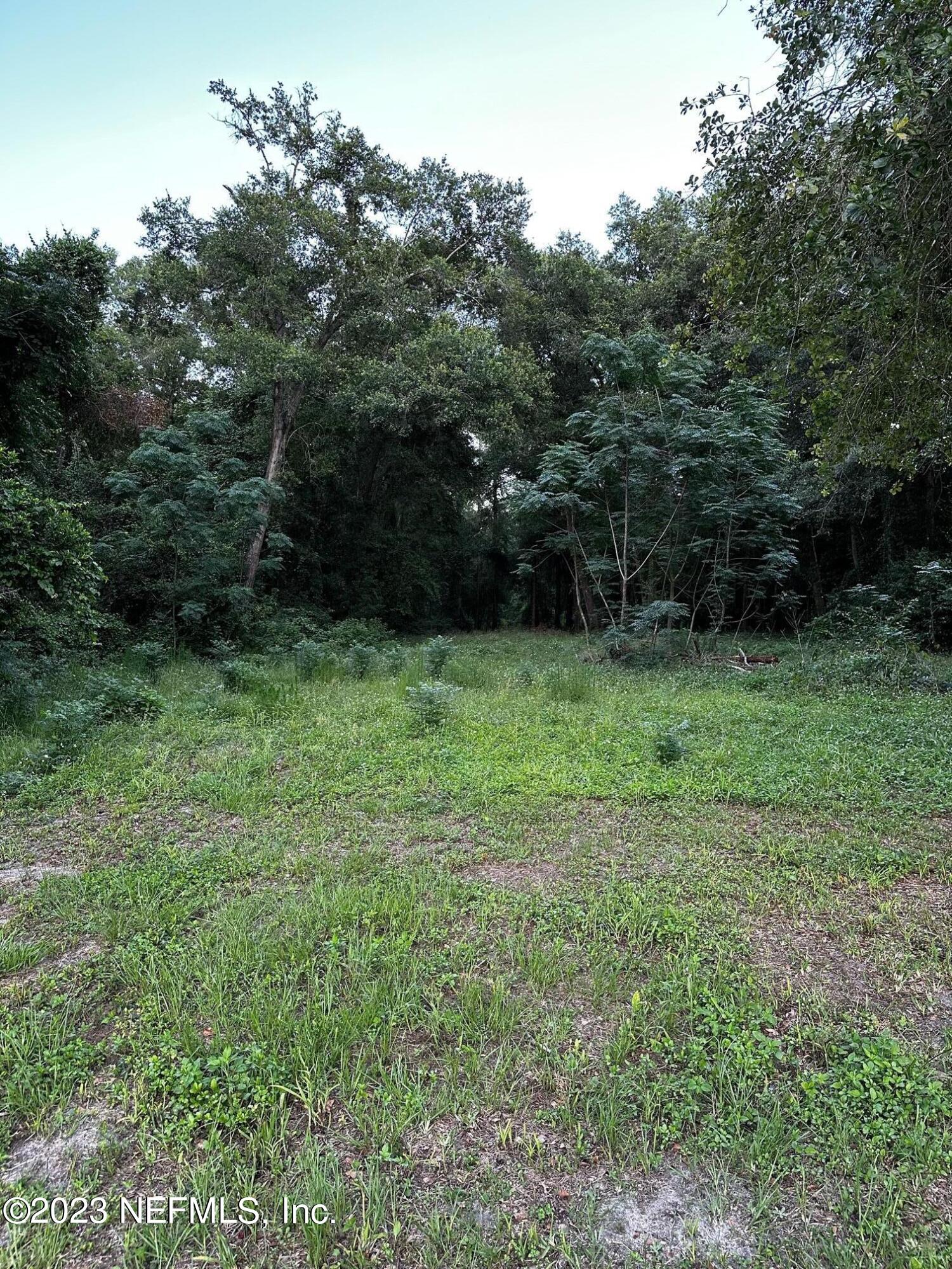 5247 Sweat Road Green Cove Springs, FL 32043 - Photo 4 of 8 image7