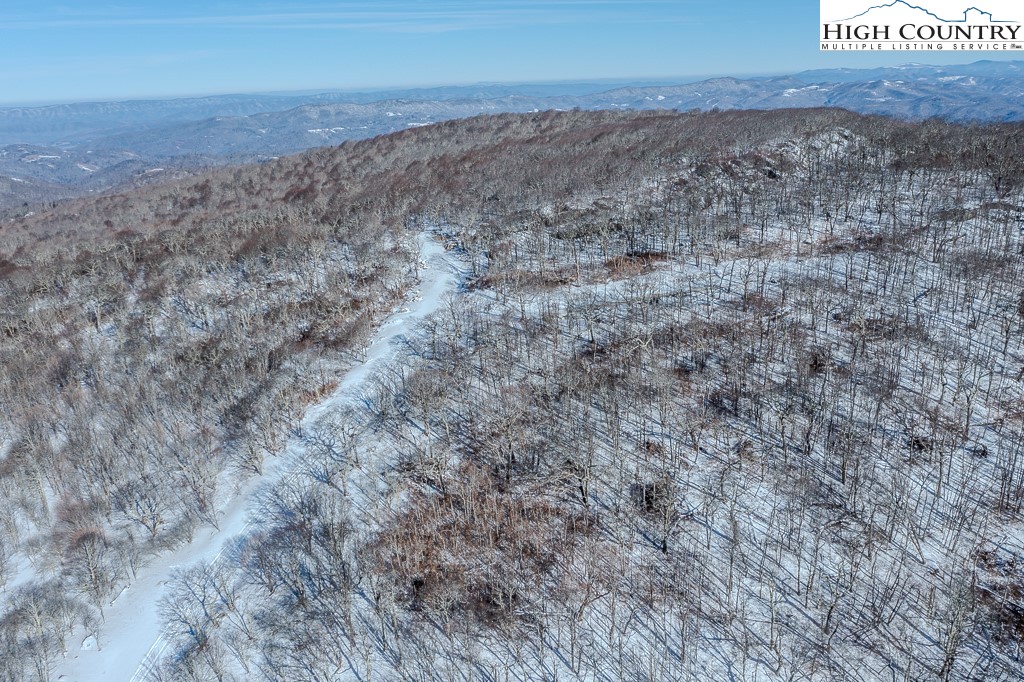 Elderberry Ridge Road Beech Mountain, NC 28604 - Photo 17 of 28 a view of a dry yard with wooden floor