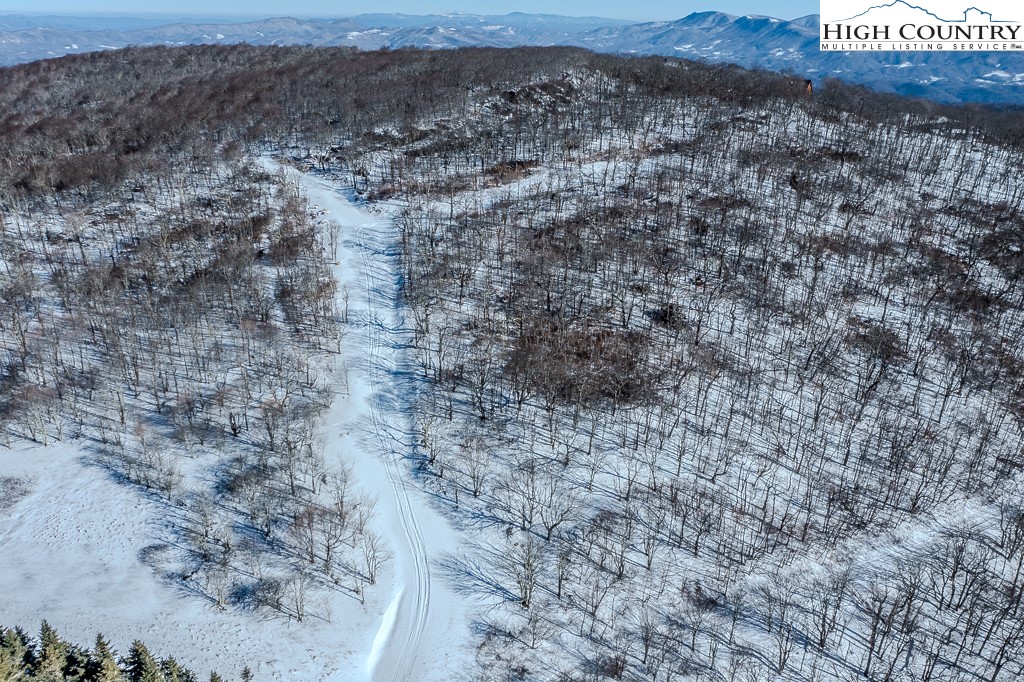 Elderberry Ridge Road Beech Mountain, NC 28604 - Photo 18 of 28 a view of a dry yard