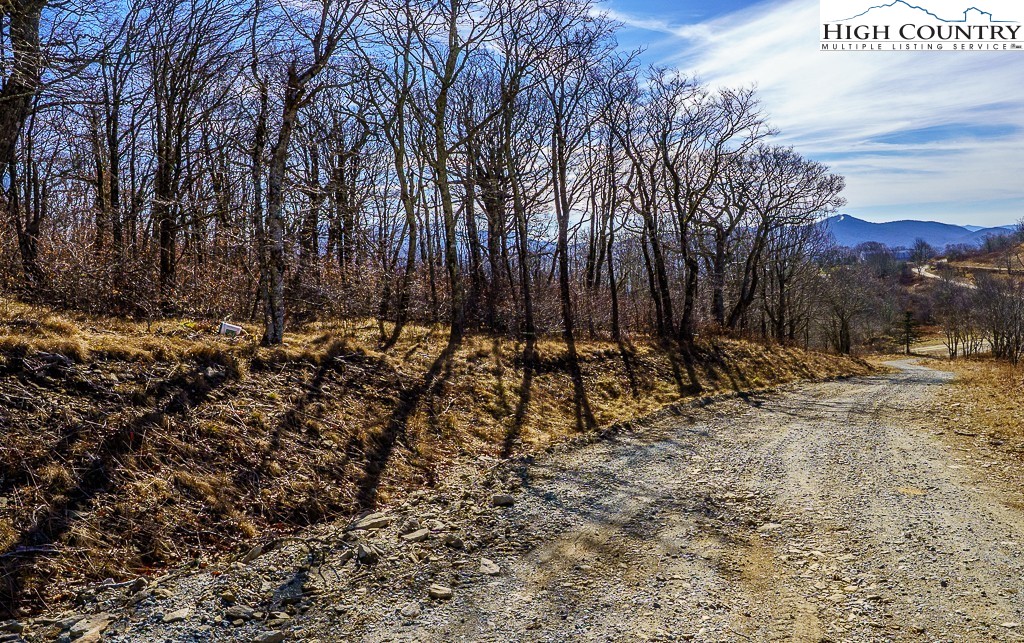 Elderberry Ridge Road Beech Mountain, NC 28604 - Photo 22 of 28 a view of covered with snow