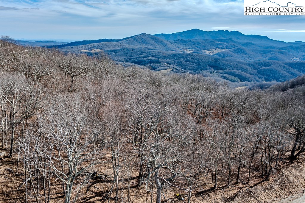 Elderberry Ridge Road Beech Mountain, NC 28604 - Photo 24 of 28 a view of a dry field with mountains in the background