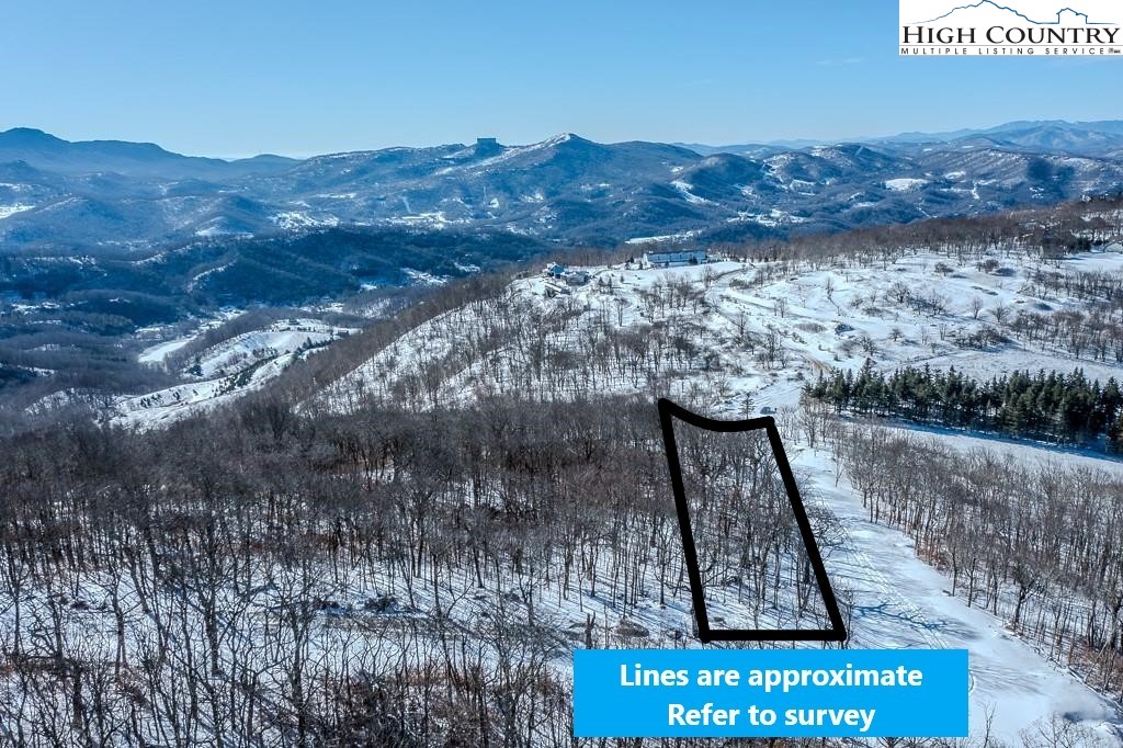 Elderberry Ridge Road Beech Mountain, NC 28604 - Photo 3 of 28 a view of a backyard of a house