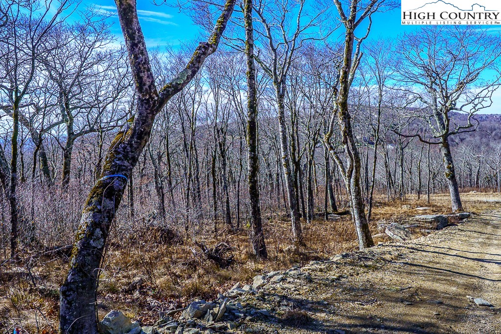 Elderberry Ridge Road Beech Mountain, NC 28604 - Photo 4 of 28 a backyard of a house with lots of green space