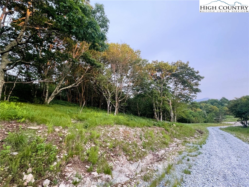 Elderberry Ridge Road Beech Mountain, NC 28604 - Photo 5 of 28 a view of a field with a tree in it