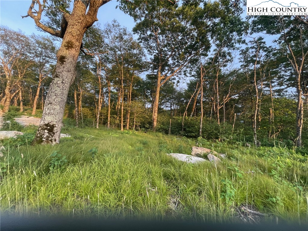 Elderberry Ridge Road Beech Mountain, NC 28604 - Photo 6 of 28 a view of a park with large trees