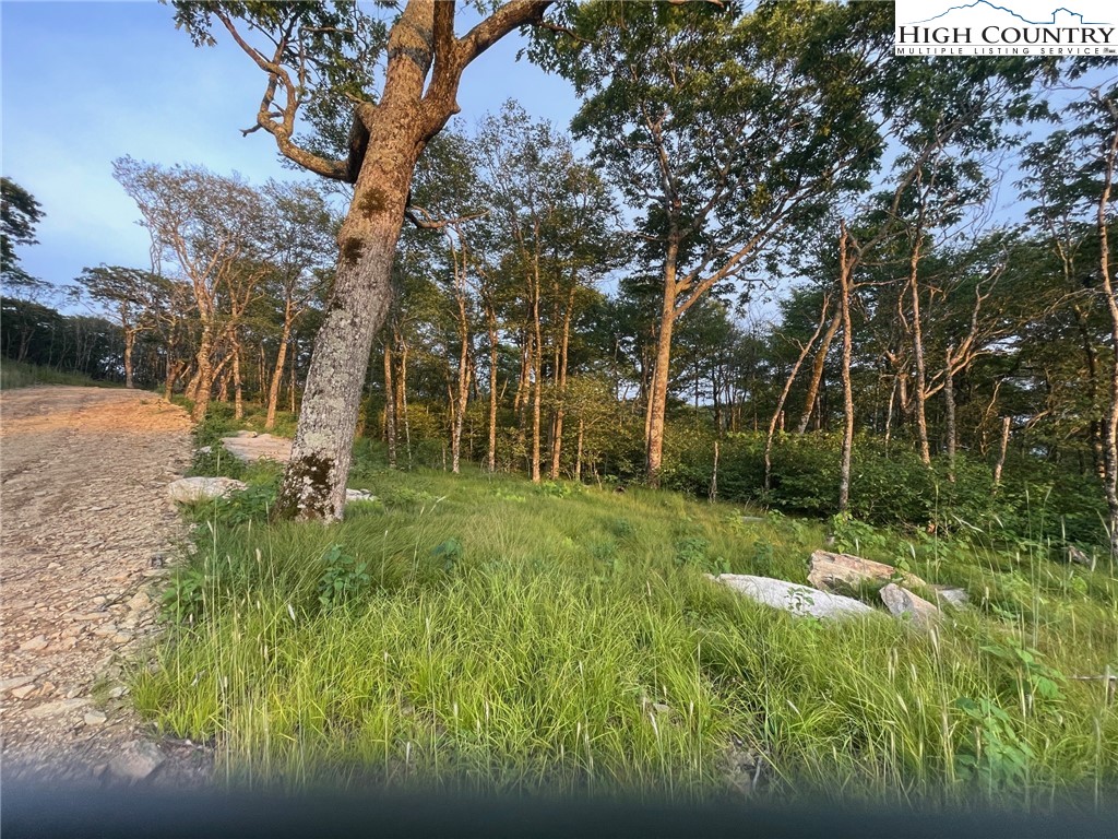 Elderberry Ridge Road Beech Mountain, NC 28604 - Photo 8 of 28 a view of backyard