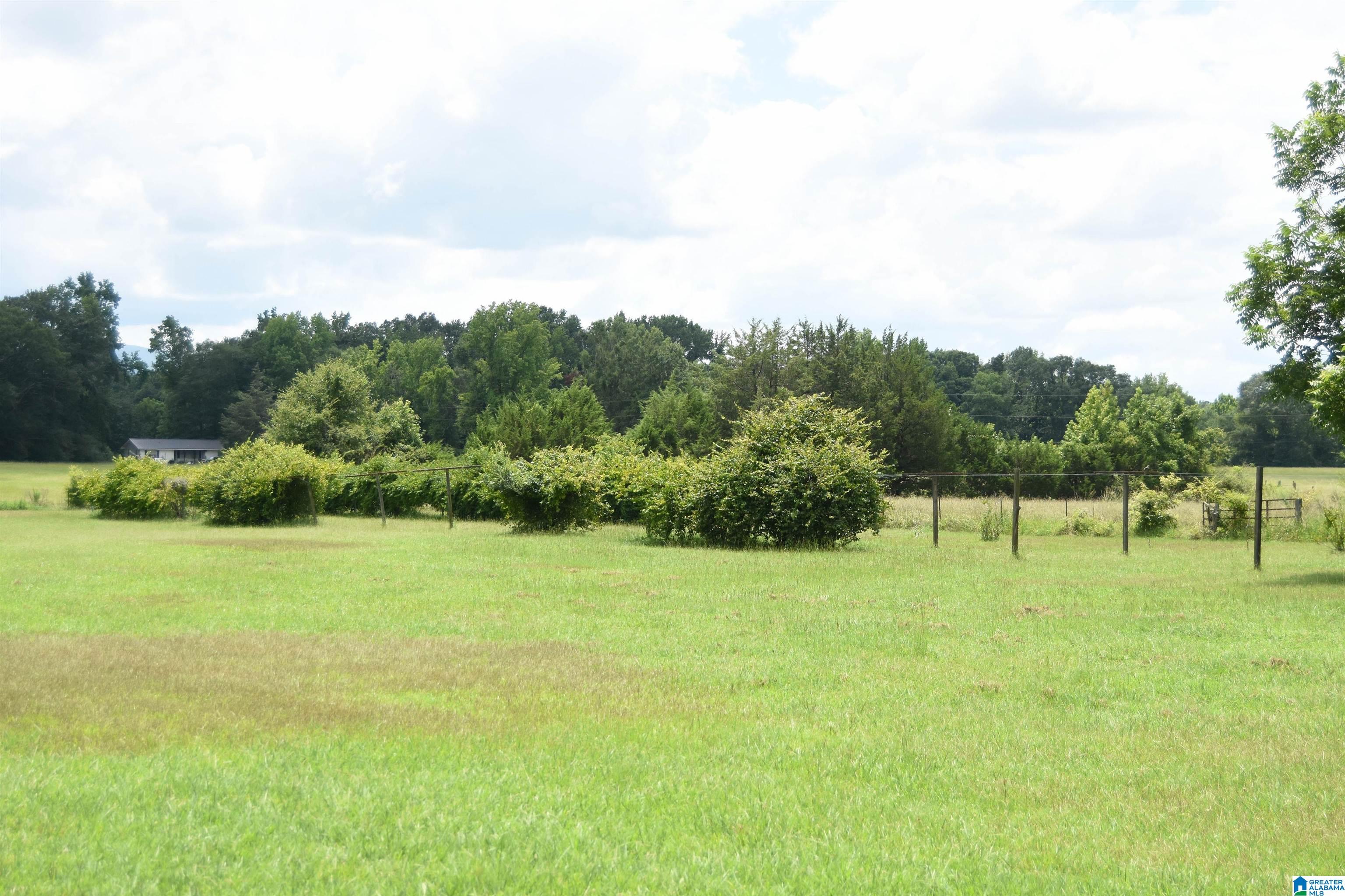 873 Buckelew Road Anniston, AL 36207 - Photo 74 of 91