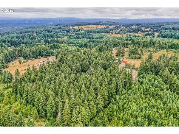 24353 South Ridge Road Beavercreek, OR 97004 - Photo 33 of 33 a view of a city with lush green forest