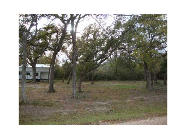 1425 Big Berry Road Somerville, TX 77879 - Photo 1 of 1