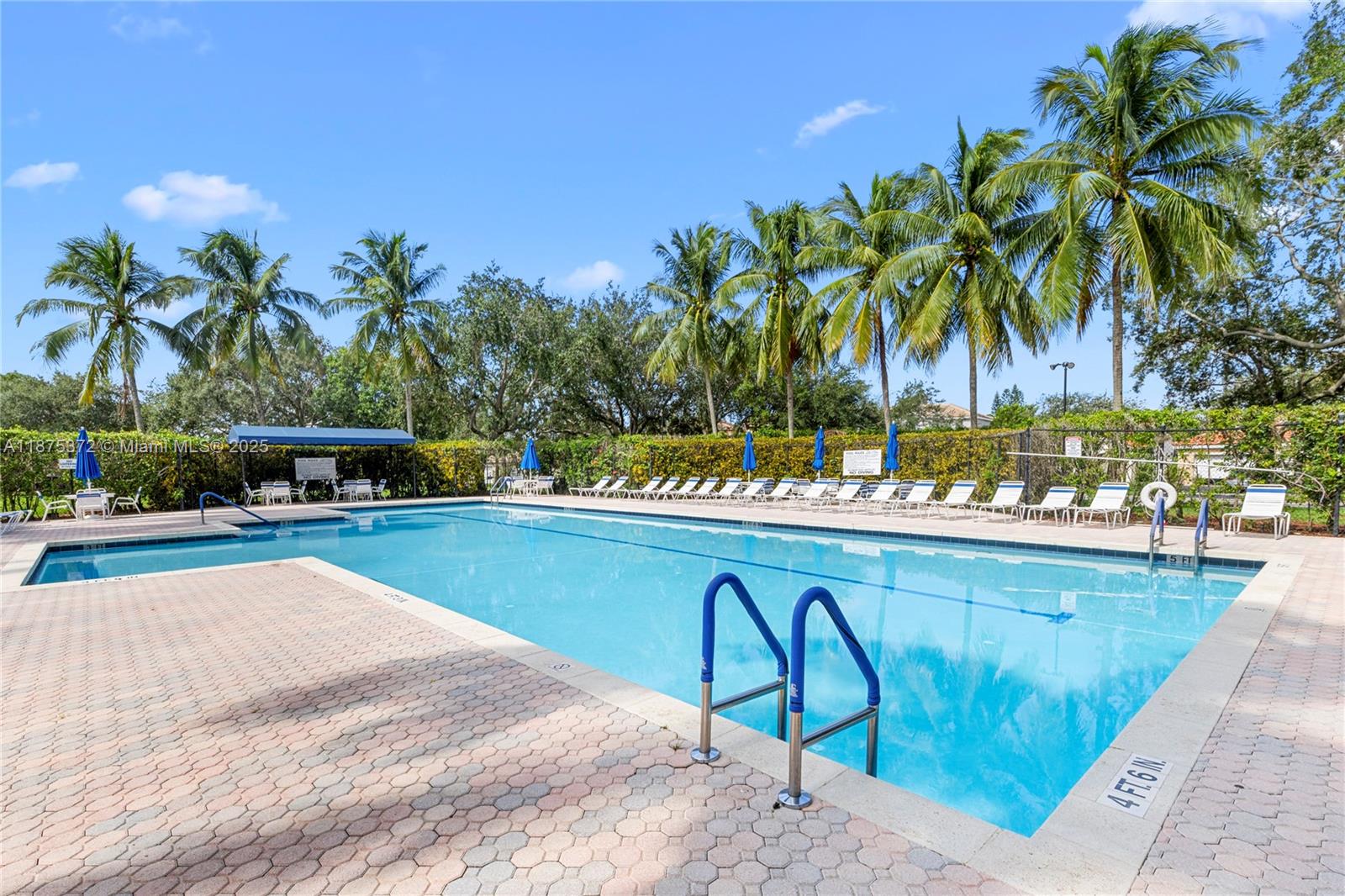 1440 Coronado Road, Unit 138 Weston, FL 33327 - Photo 5 of 38 a view of swimming pool with outdoor seating and plants
