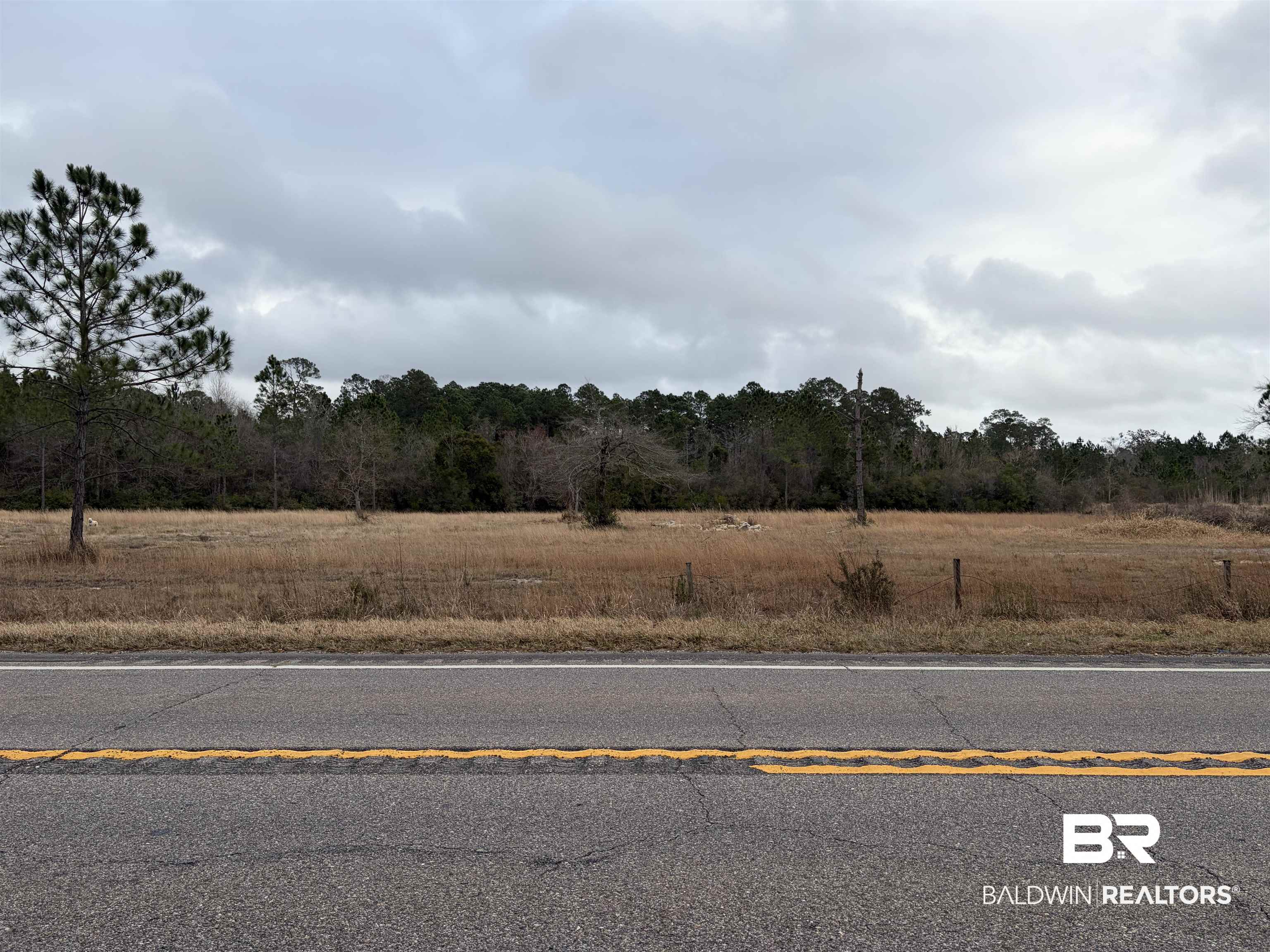 10585 Bellingrath Road Theodore, AL 36582 - Photo 1 of 14 View of asphalt road