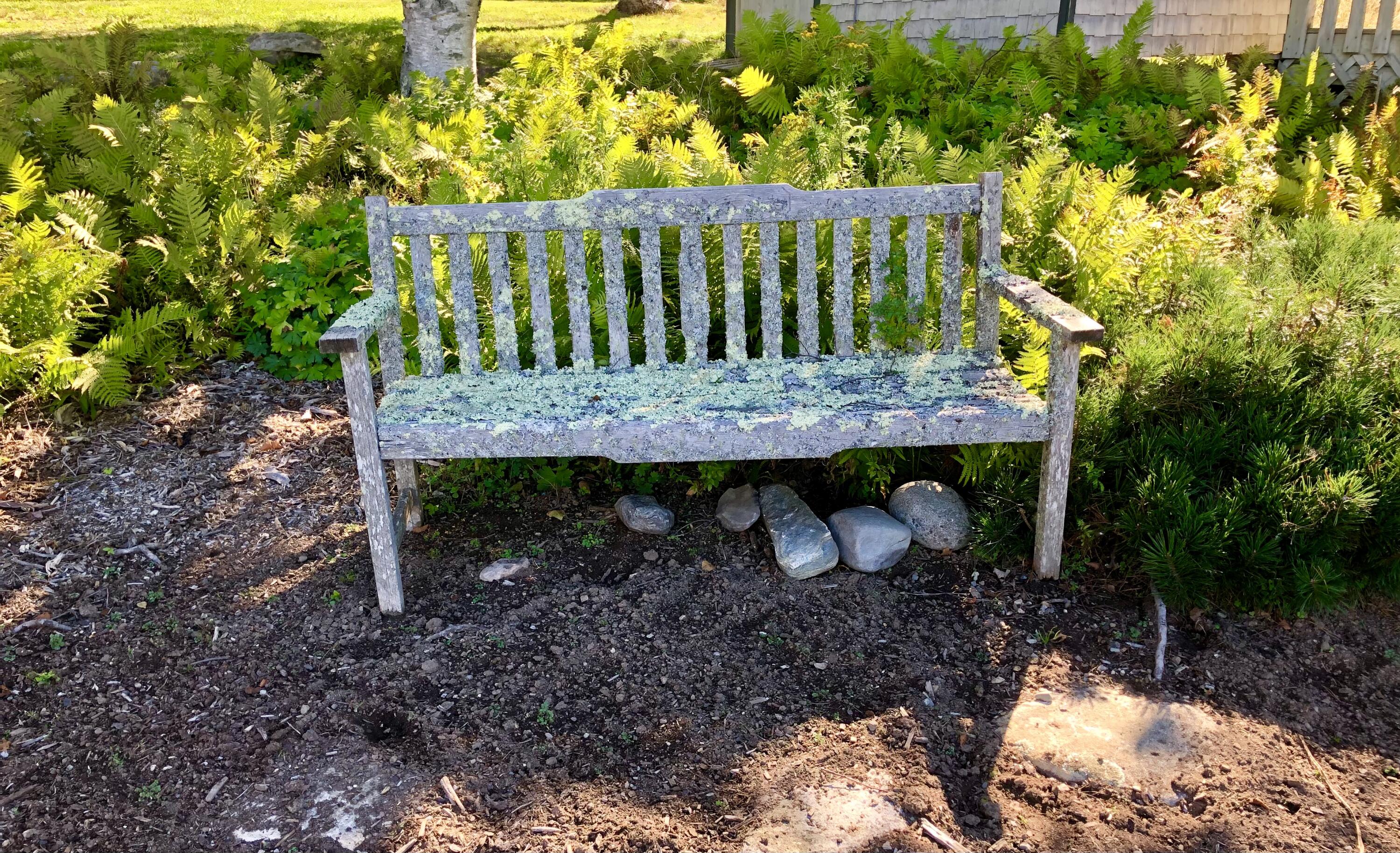 48 Granville Road Bass Harbor, ME 04653 - Photo 39 of 60 Garden area