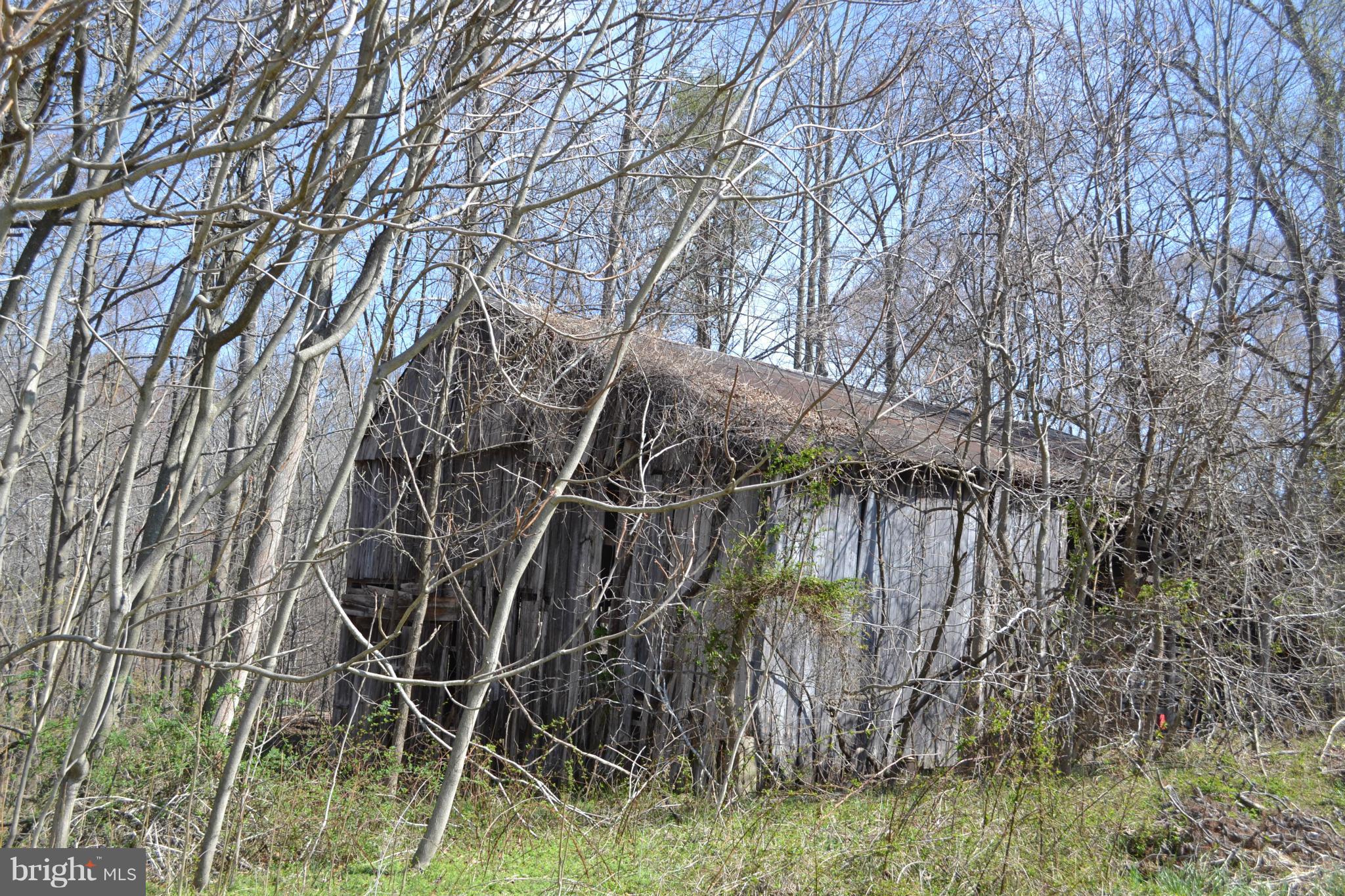 2795 Sixes Road Prince Frederick, MD 20678 - Photo 2 of 10 old barn on property