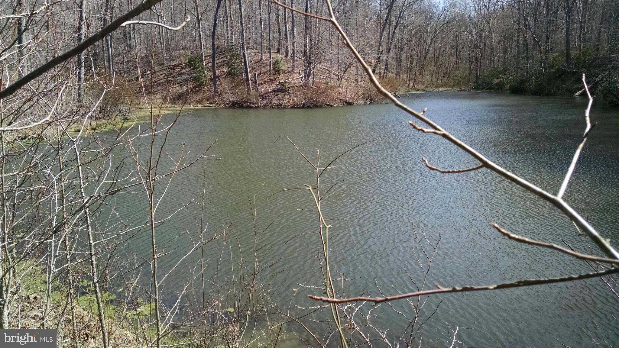 2795 Sixes Road Prince Frederick, MD 20678 - Photo 5 of 10 Pond