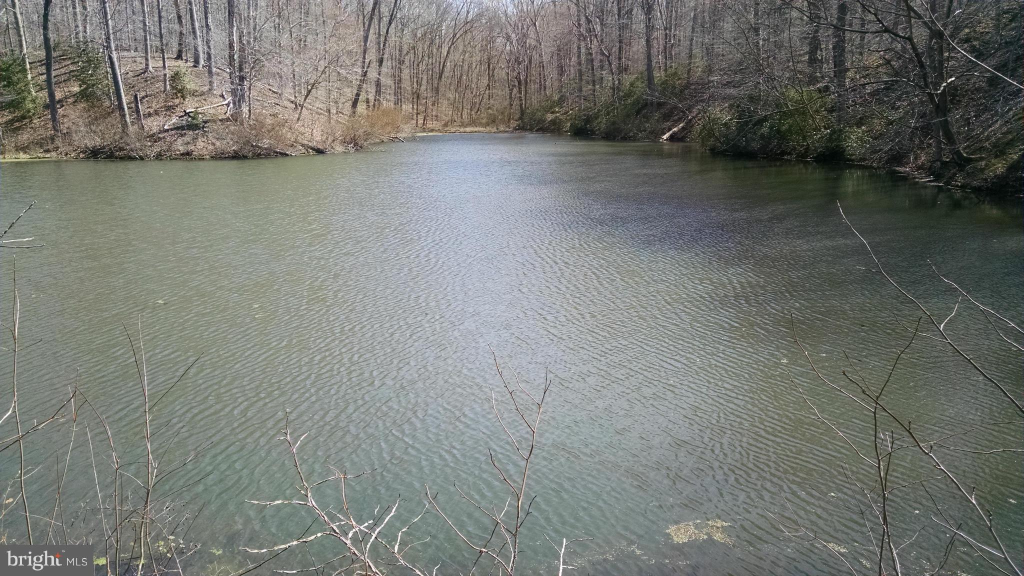 2795 Sixes Road Prince Frederick, MD 20678 - Photo 8 of 10 Pond