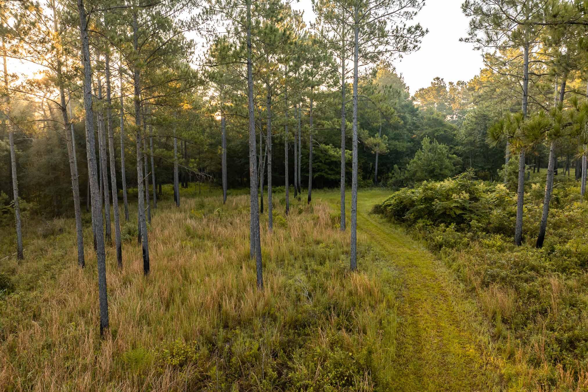 6604 Pine Island Road Albany, GA 31721 - Photo 45 of 100 PineKnollDucker-1050