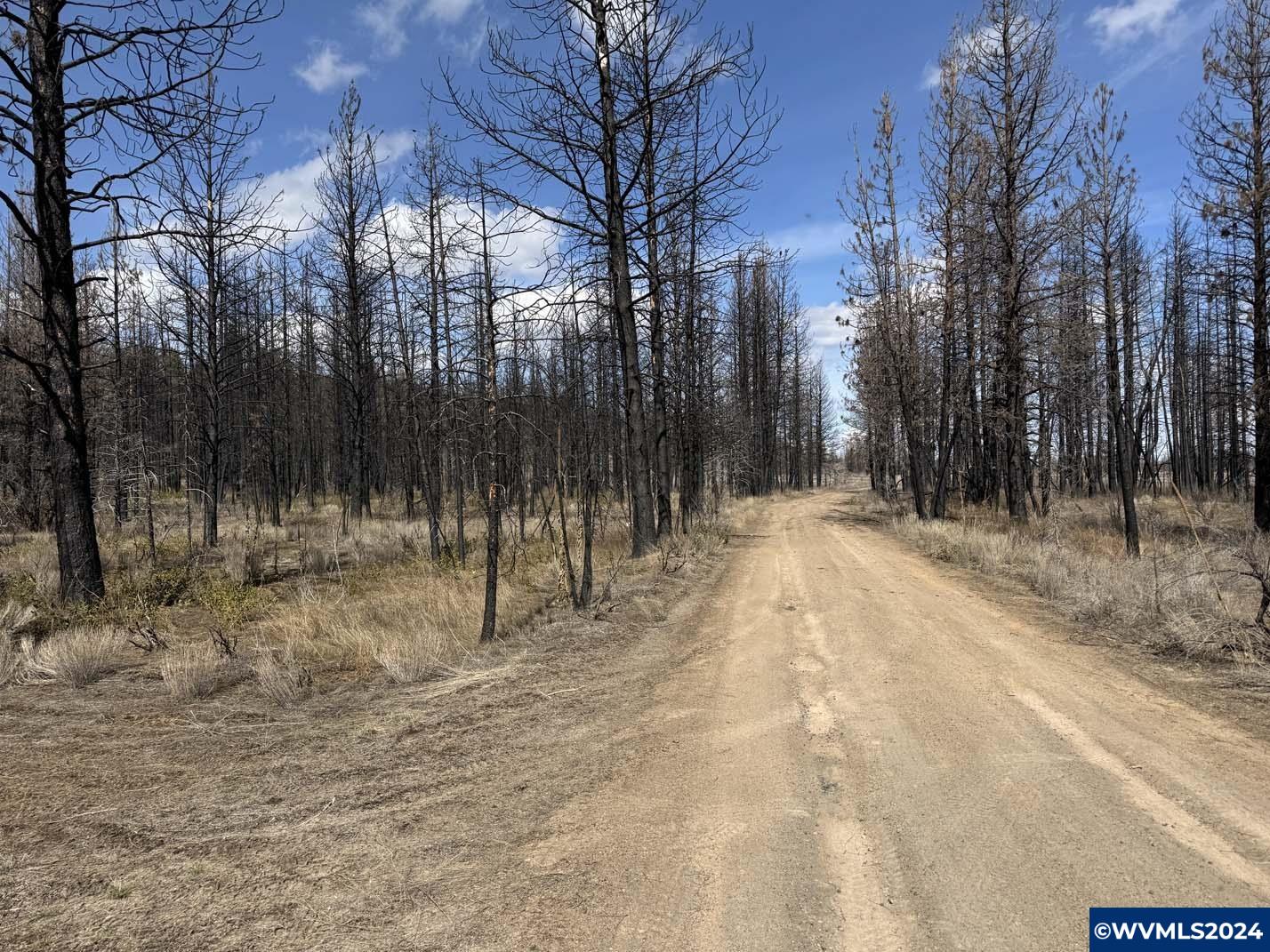 800 Nf 4464 Road Chiloquin, OR 97624 - Photo 16 of 25