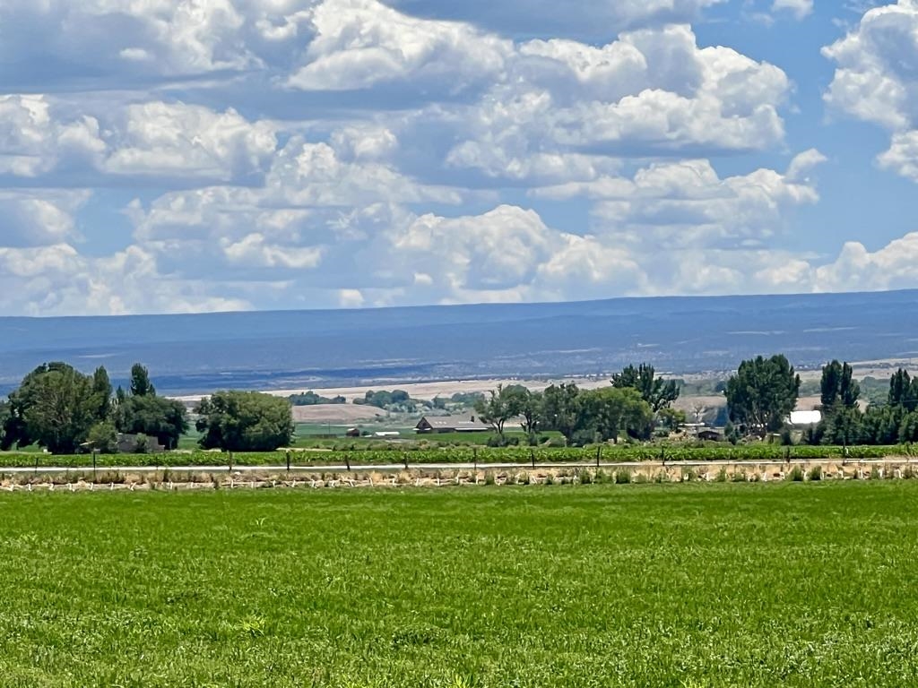Tbd Banner Road, Unit LOT 2 Olathe, CO 81425 - Photo 2 of 5 Gallery Image 2