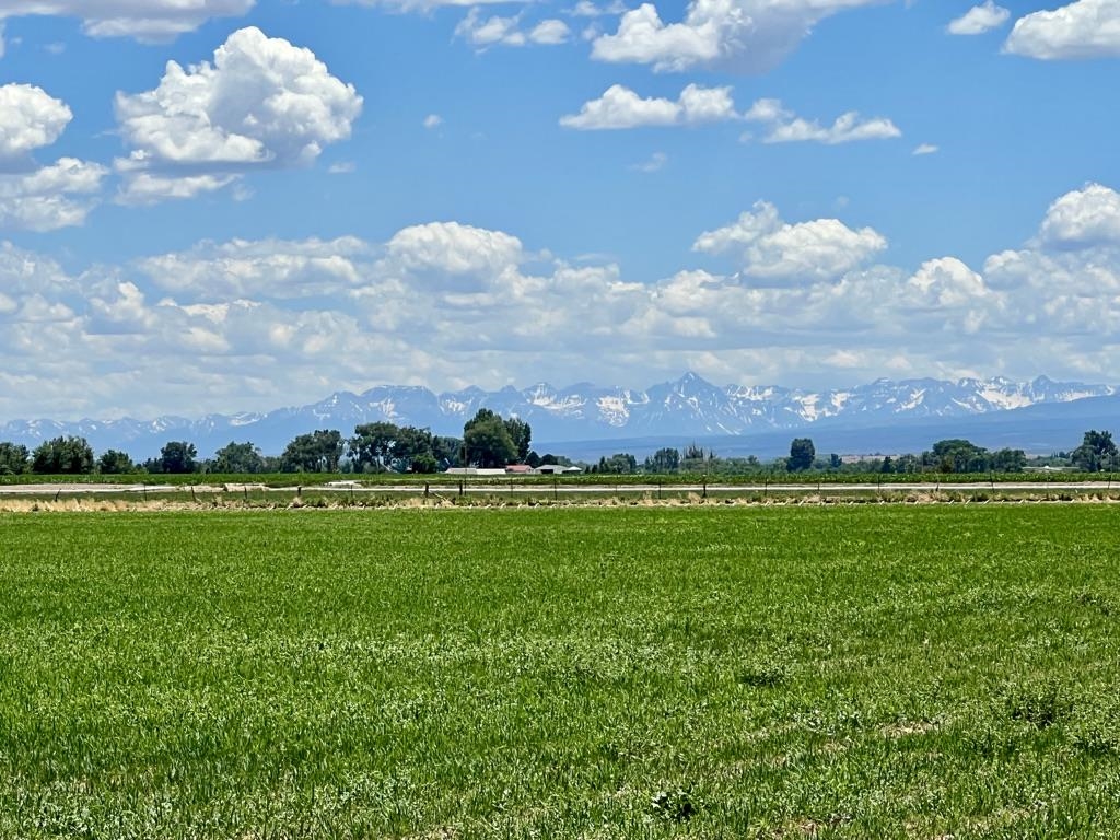 Tbd Banner Road, Unit LOT 2 Olathe, CO 81425 - Photo 3 of 5 Gallery Image 3