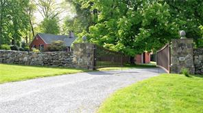 a view of a yard with plants and large trees