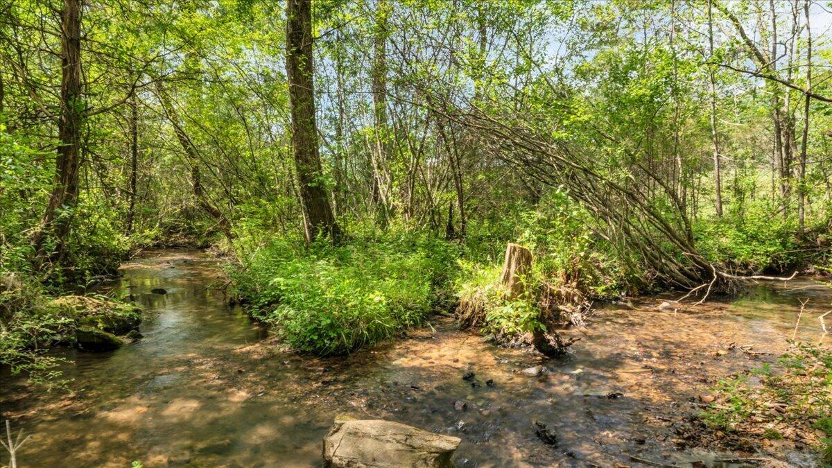 7463 Valley View Highway Whitwell, TN 37397 - Photo 60 of 81 60-BOX01853
